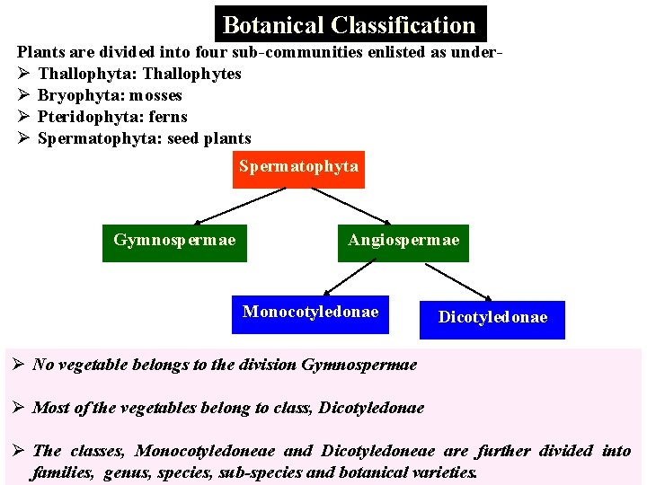Botanical Classification: Plants are divided into four sub-communities enlisted as underØ Thallophyta: Thallophytes Ø