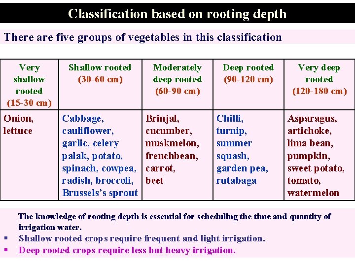 Classification based on rooting depth There are five groups of vegetables in this classification