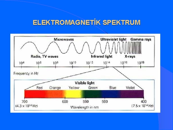 ELEKTROMAGNETİK SPEKTRUM 