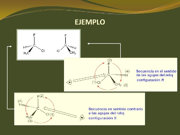 EJEMPLO EJEMPLO
