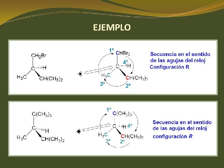 EJEMPLO EJEMPLO