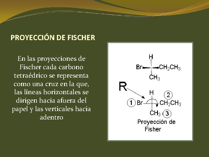 PROYECCIÓN DE FISCHER En las proyecciones de Fischer cada carbono tetraédrico se representa como PROYECCIÓN DE FISCHER En las proyecciones de Fischer cada carbono tetraédrico se representa como
