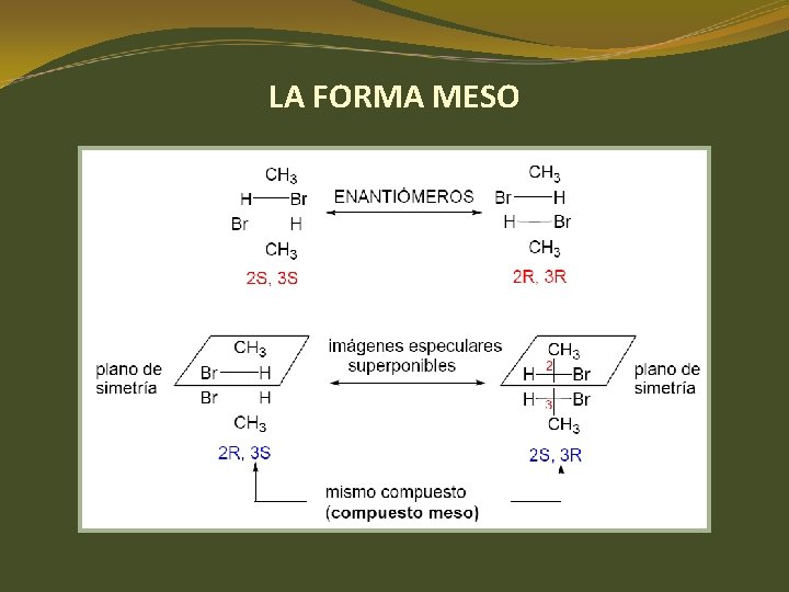 LA FORMA MESO LA FORMA MESO