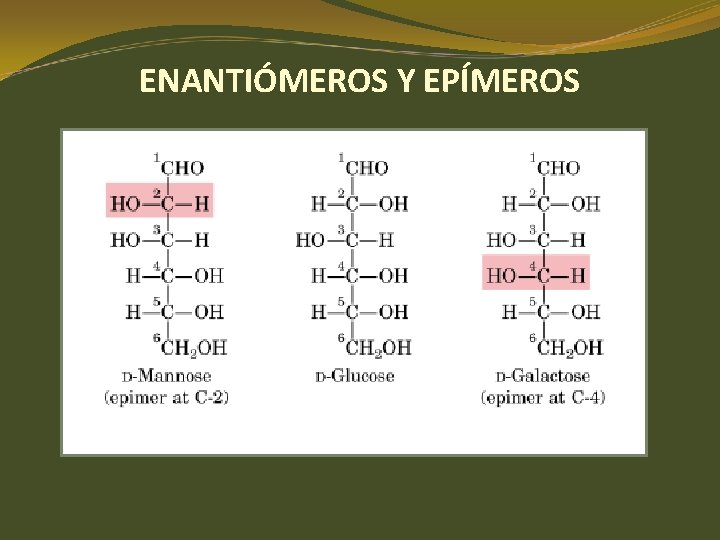ENANTIÓMEROS Y EPÍMEROS ENANTIÓMEROS Y EPÍMEROS