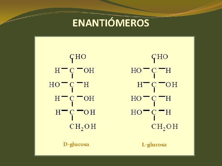 ENANTIÓMEROS D-glucosa L-glucosa ENANTIÓMEROS D-glucosa L-glucosa