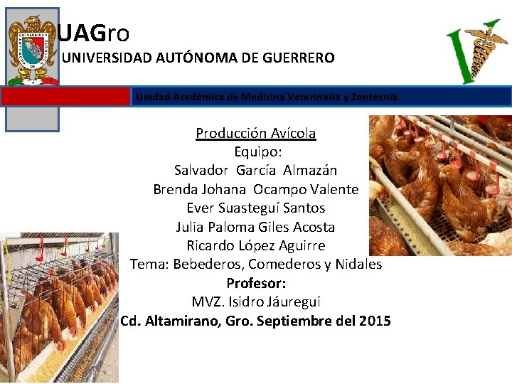 UAGro UNIVERSIDAD AUTÓNOMA DE GUERRERO Unidad Académica de Medicina Veterinaria y Zootecnia Producción Avícola