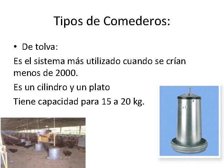 Tipos de Comederos: • De tolva: Es el sistema más utilizado cuando se crían