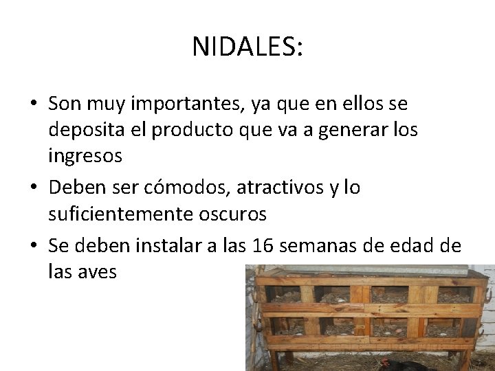 NIDALES: • Son muy importantes, ya que en ellos se deposita el producto que