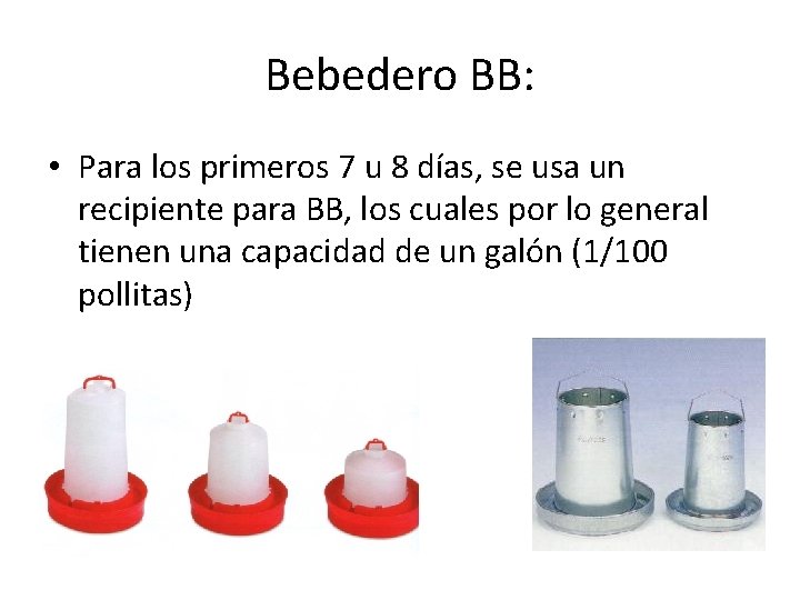 Bebedero BB: • Para los primeros 7 u 8 días, se usa un recipiente