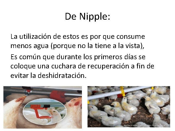 De Nipple: La utilización de estos es por que consume menos agua (porque no