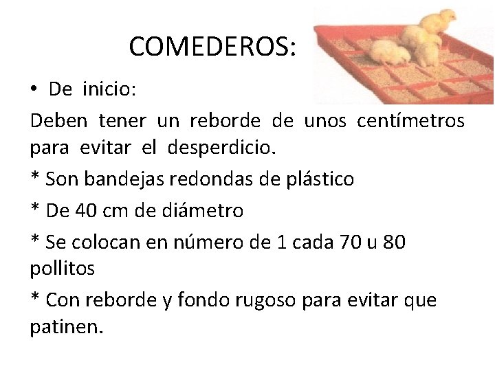 COMEDEROS: • De inicio: Deben tener un reborde de unos centímetros para evitar el