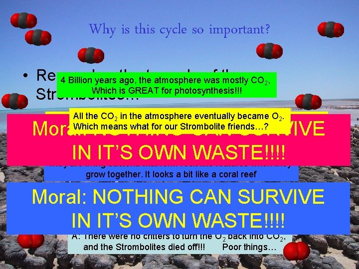 Why is this cycle so important? • Remember thethetragedy 4 Billion years ago, atmosphere