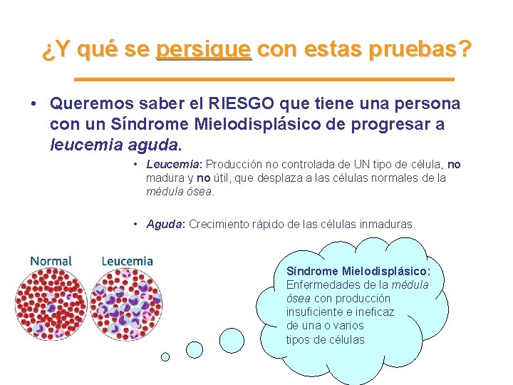 ¿Y qué se persigue con estas pruebas? • Queremos saber el RIESGO que tiene ¿Y qué se persigue con estas pruebas? • Queremos saber el RIESGO que tiene