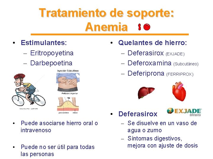 Tratamiento de soporte: Anemia • Estimulantes: – Eritropoyetina – Darbepoetina • Quelantes de hierro: Tratamiento de soporte: Anemia • Estimulantes: – Eritropoyetina – Darbepoetina • Quelantes de hierro: