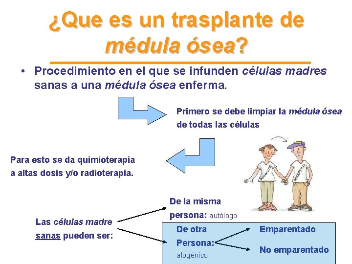 ¿Que es un trasplante de médula ósea? • Procedimiento en el que se infunden ¿Que es un trasplante de médula ósea? • Procedimiento en el que se infunden