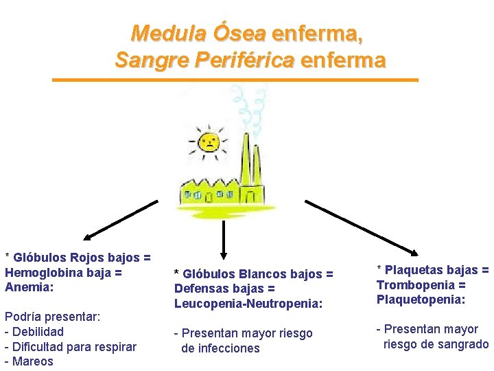 Medula Ósea enferma, Sangre Periférica enferma * Glóbulos Rojos bajos = Hemoglobina baja = Medula Ósea enferma, Sangre Periférica enferma * Glóbulos Rojos bajos = Hemoglobina baja =