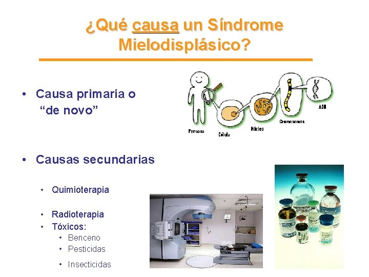 ¿Qué causa un Síndrome Mielodisplásico? • Causa primaria o “de novo” • Causas secundarias ¿Qué causa un Síndrome Mielodisplásico? • Causa primaria o “de novo” • Causas secundarias