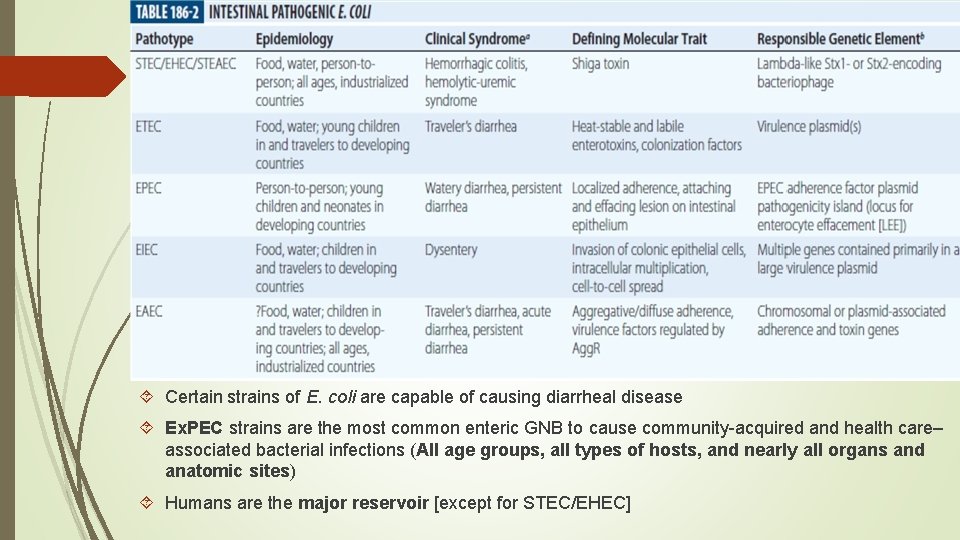  Certain strains of E. coli are capable of causing diarrheal disease Ex. PEC