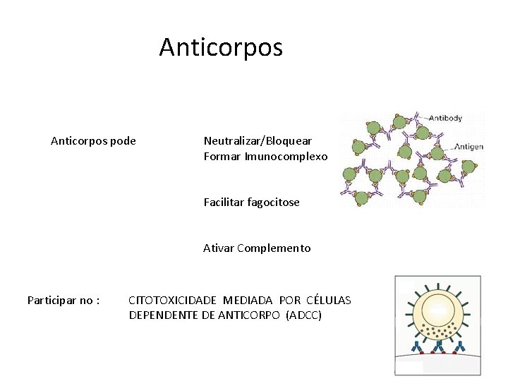 Anticorpos pode Neutralizar/Bloquear Formar Imunocomplexo Facilitar fagocitose Ativar Complemento Participar no : CITOTOXICIDADE MEDIADA