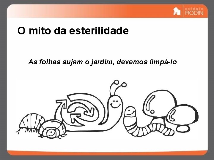 O mito da esterilidade As folhas sujam o jardim, devemos limpá-lo 