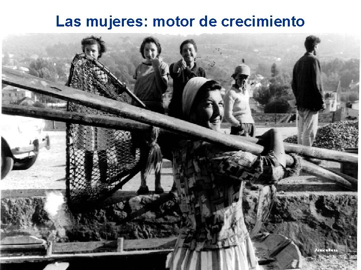 Las mujeres: motor de crecimiento Acuicultura 