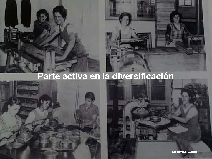 Parte activa en la diversificación Conserveras Gallegas 