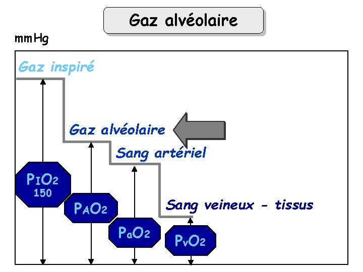 Gaz alvéolaire mm. Hg Gaz inspiré Gaz alvéolaire Sang artériel P IO 2 150