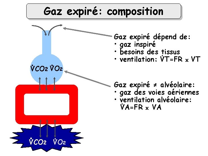 Gaz expiré: composition VCO 2 VO 2 alvéole Gaz expiré dépend de: • gaz