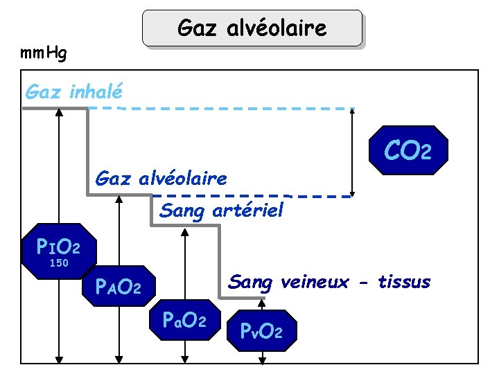 Gaz alvéolaire mm. Hg Gaz inhalé CO 2 Gaz alvéolaire Sang artériel P IO