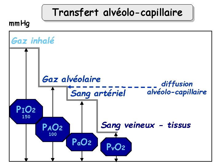 mm. Hg Transfert alvéolo-capillaire Gaz inhalé Gaz alvéolaire Sang artériel diffusion alvéolo-capillaire P IO