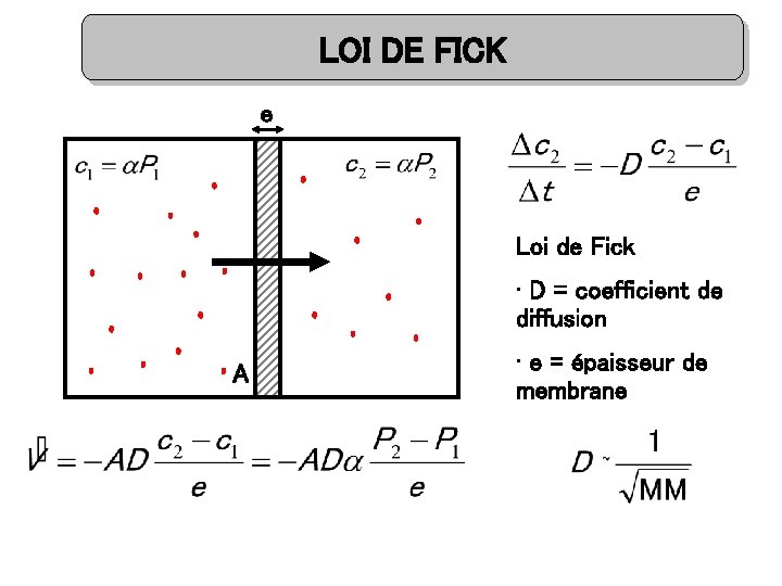 LOI DE FICK e Loi de Fick • D = coefficient de diffusion A