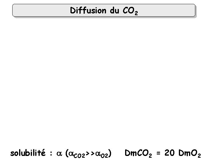 Diffusion du CO 2 solubilité : a (a. CO 2>>a. O 2) Dm. CO