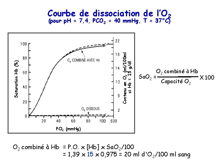 Courbe de dissociation de l’O 2 Saturation Hb (%) Contenu en O 2 (ml/100