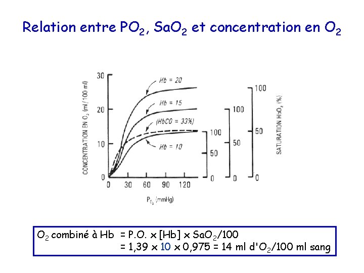 Relation entre PO 2, Sa. O 2 et concentration en O 2 combiné à
