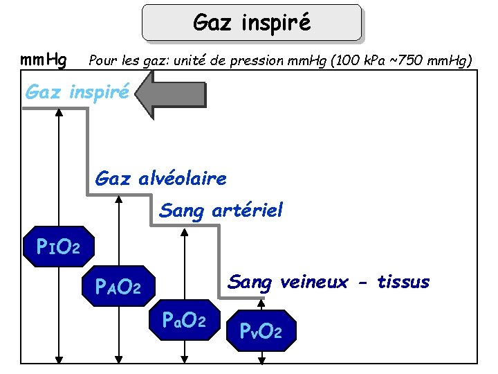 Gaz inspiré mm. Hg Pour les gaz: unité de pression mm. Hg (100 k.