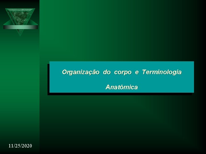 Organização do corpo e Terminologia Anatômica 11/25/2020 