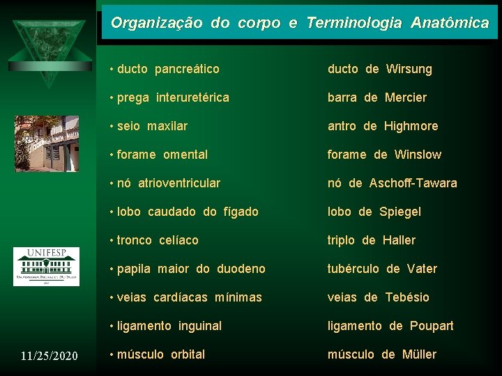 Organização do corpo e Terminologia Anatômica 11/25/2020 • ducto pancreático ducto de Wirsung •