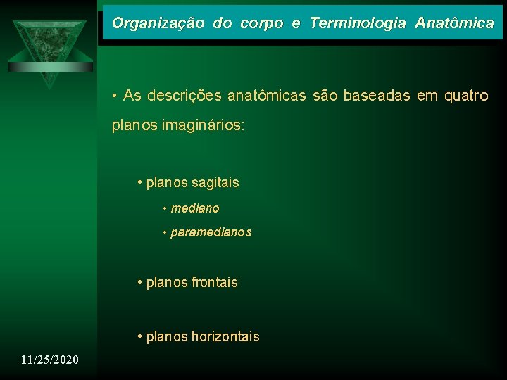 Organização do corpo e Terminologia Anatômica • As descrições anatômicas são baseadas em quatro