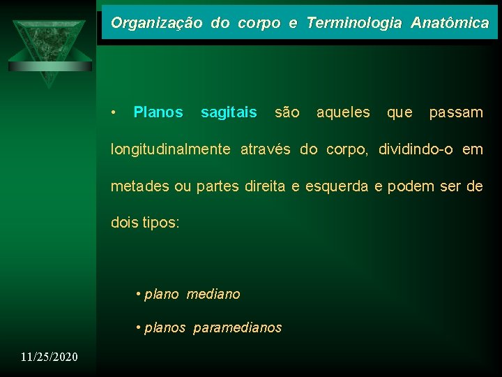 Organização do corpo e Terminologia Anatômica • Planos sagitais são aqueles que passam longitudinalmente