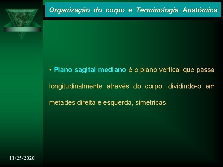 Organização do corpo e Terminologia Anatômica • Plano sagital mediano é o plano vertical