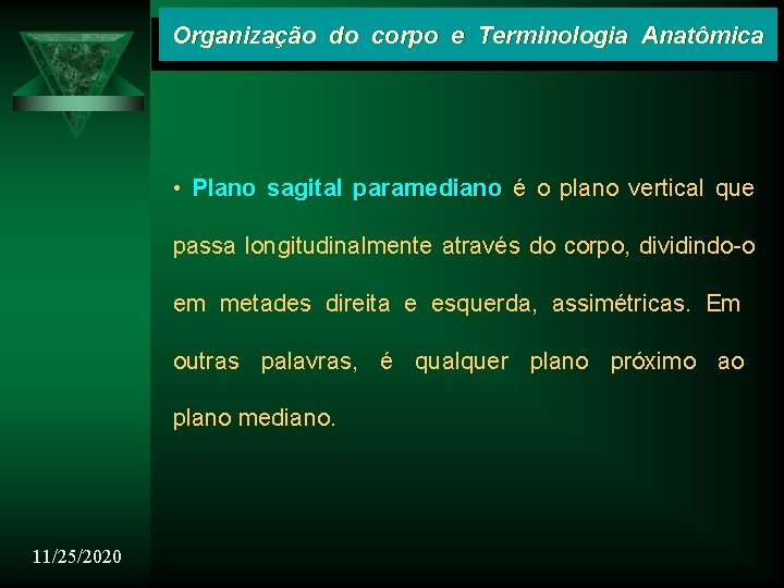 Organização do corpo e Terminologia Anatômica • Plano sagital paramediano é o plano vertical