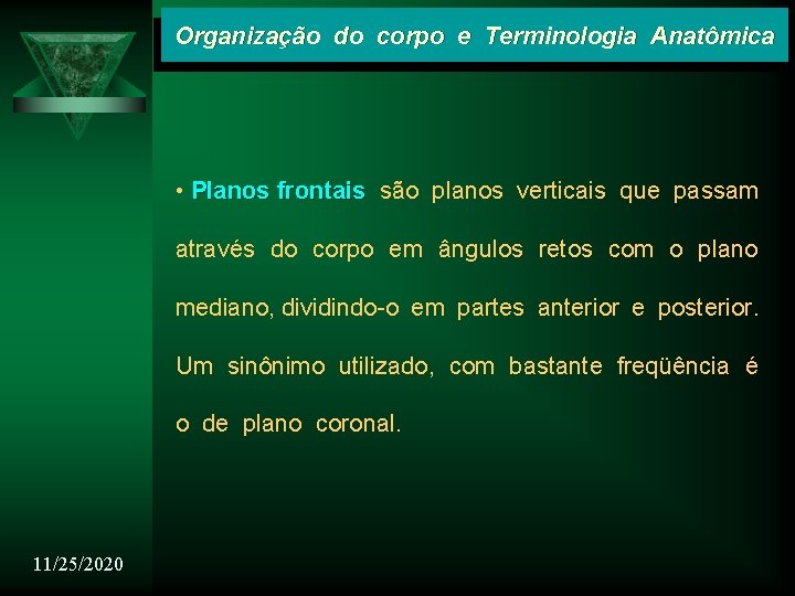 Organização do corpo e Terminologia Anatômica • Planos frontais são planos verticais que passam