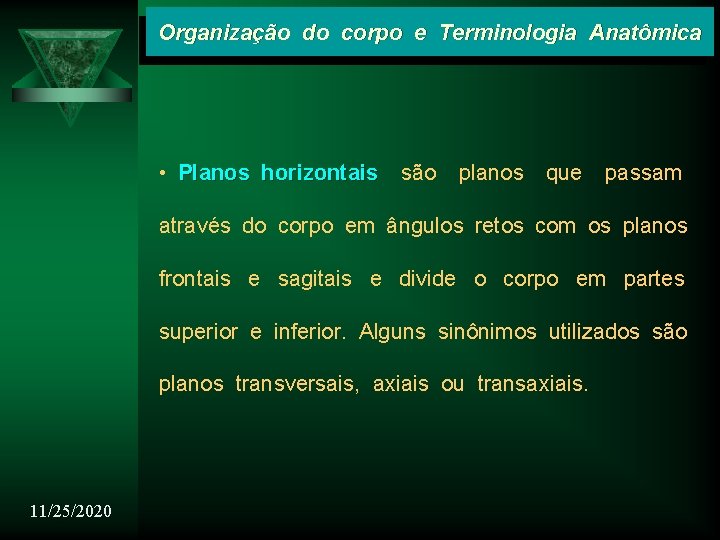 Organização do corpo e Terminologia Anatômica • Planos horizontais são planos que passam através