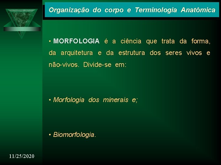 Organização do corpo e Terminologia Anatômica • MORFOLOGIA é a ciência que trata da