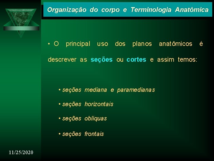 Organização do corpo e Terminologia Anatômica • O principal uso dos planos anatômicos descrever