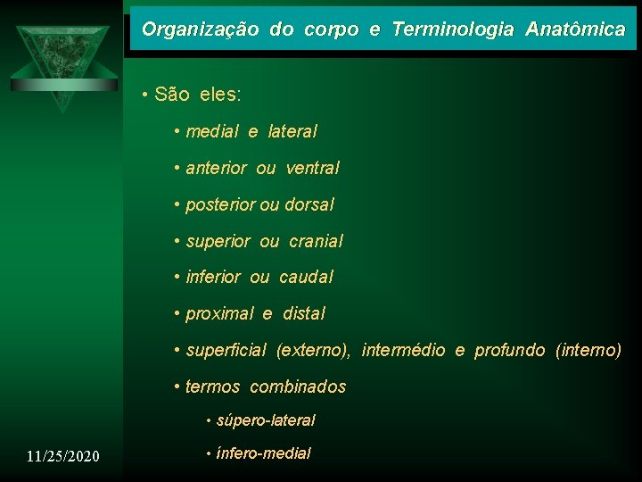 Organização do corpo e Terminologia Anatômica • São eles: • medial e lateral •