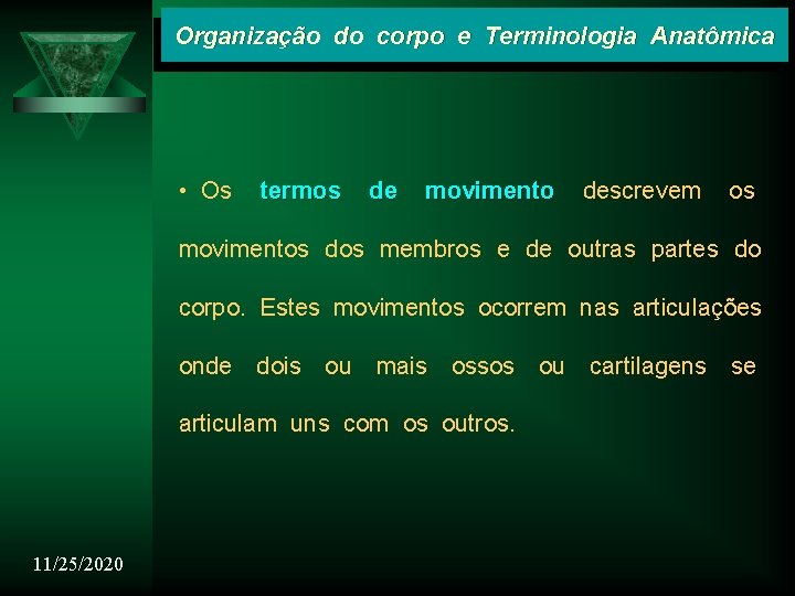 Organização do corpo e Terminologia Anatômica • Os termos de movimento descrevem os movimentos