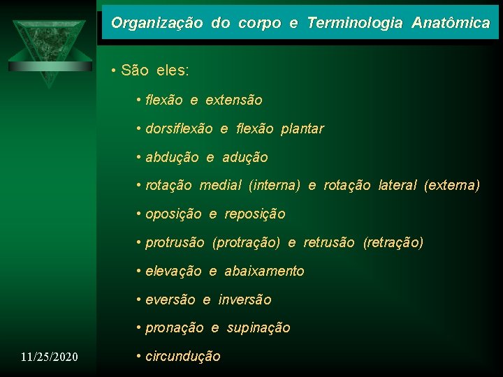 Organização do corpo e Terminologia Anatômica • São eles: • flexão e extensão •