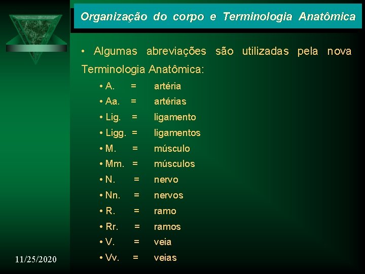 Organização do corpo e Terminologia Anatômica • Algumas abreviações são utilizadas pela nova Terminologia