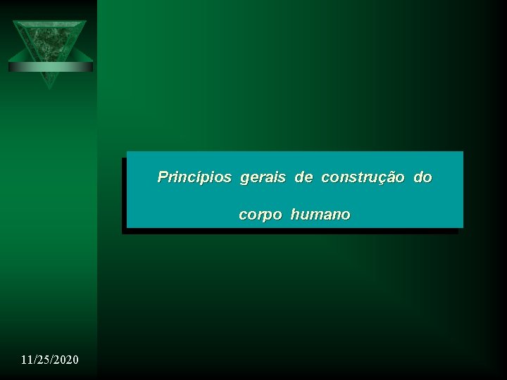 Princípios gerais de construção do corpo humano 11/25/2020 